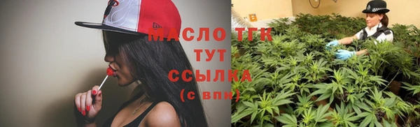 таблы Бородино