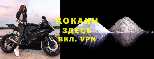 таблы Бородино
