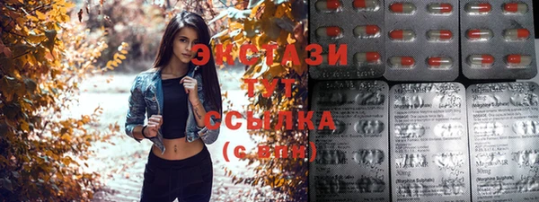 таблы Бородино