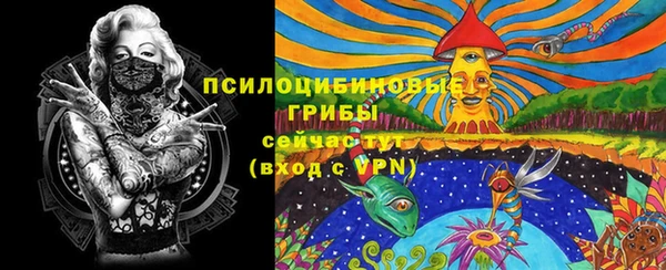таблы Бородино