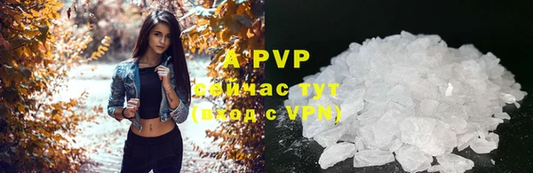 таблы Бородино