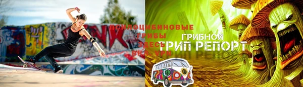 таблы Бородино