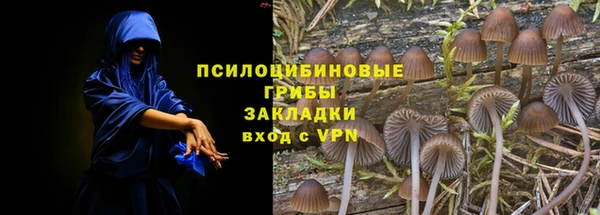 прущая мука Бугульма