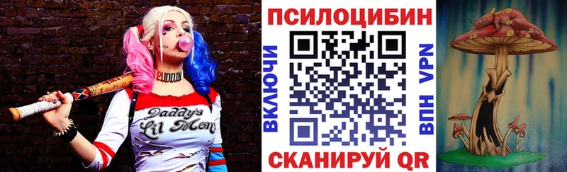 наркотики  mega ONION  Галлюциногенные грибы Psilocybe  Электросталь 